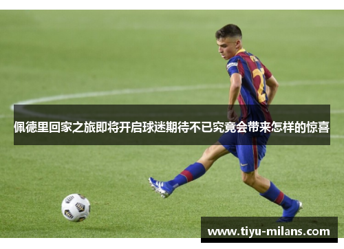 佩德里回家之旅即将开启球迷期待不已究竟会带来怎样的惊喜